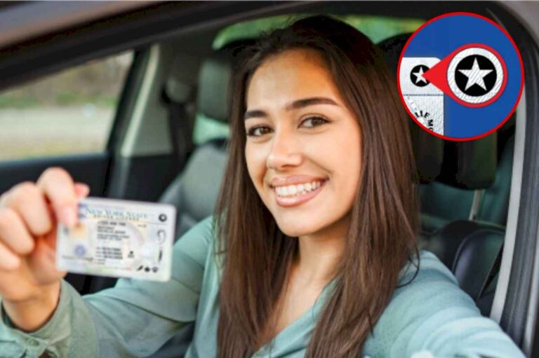 real-id-vs.-la-licencia-estandar-en-nueva-york:-cuales-son-las-diferencias