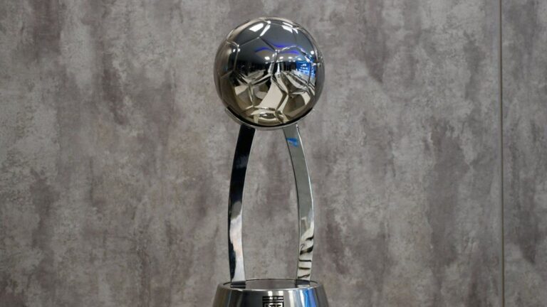 Confirmaron los polémicos emparejamientos para la Copa de la Liga Profesional 2025