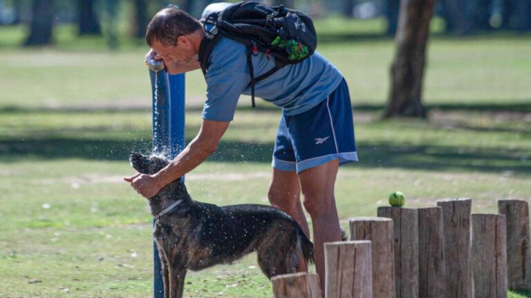 Clima en Buenos Aires: pronóstico del tiempo para hoy sábado 1 de febrero