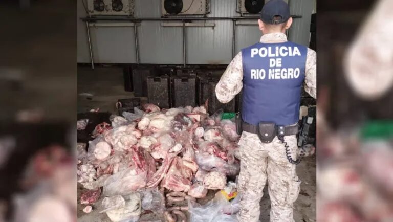 Decomisaron casi tres toneladas de carne en mal estado que iban a ser vendidas en la Patagonia