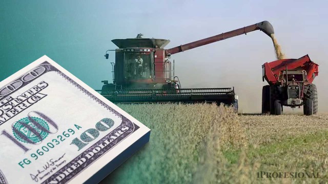 Las provincias presionan al Gobierno para que mantenga las rebajas de retenciones