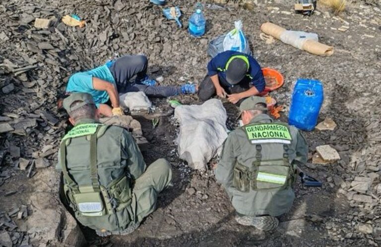 Increíble hallazgo en Neuquén: encontraron fósiles de un dinosaurio marino