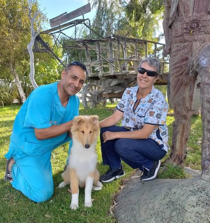 El sueño patagónico que se convirtió en el criadero de Collies más reconocido del sur