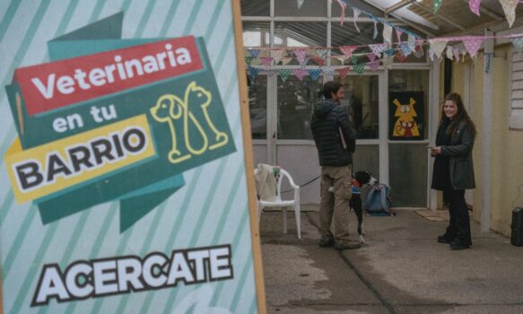 Veterinaria municipal fortalece la salud animal con campaña de vacunación y adopción responsable