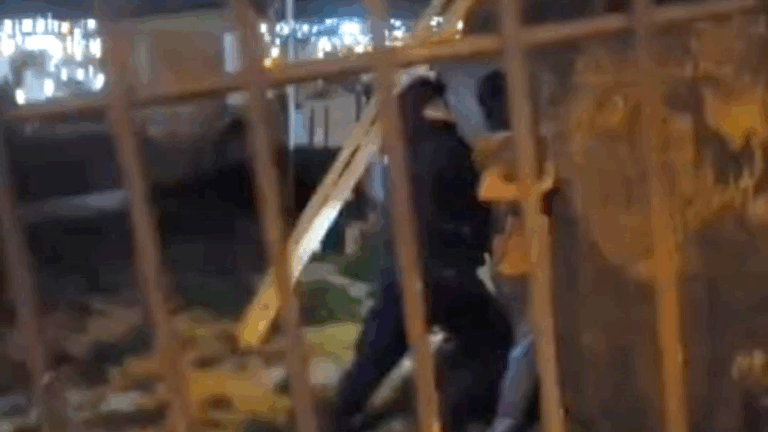 Violento y frustrado intento de usurpación en barrio Moure