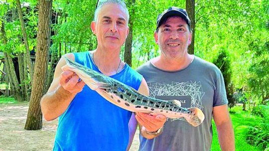 Cayo Paraná: un lugar distinto en el Delta