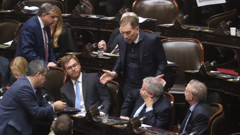 Frente a la marcha del Congreso, la oposición busca consensuar una mejora para jubilados