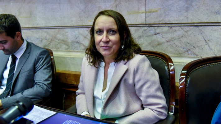 No es populismo, es humanidad, el fuerte mensaje de Alianiello tras el voto previsional