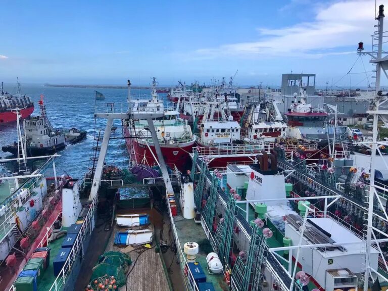 Conflicto pesquero: este lunes habrá una reunión en Puerto Madryn para reactivar la temporada