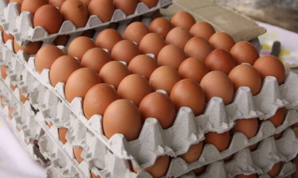 Comodoro Rivadavia: detienen a una pareja por robar huevos de un almacén