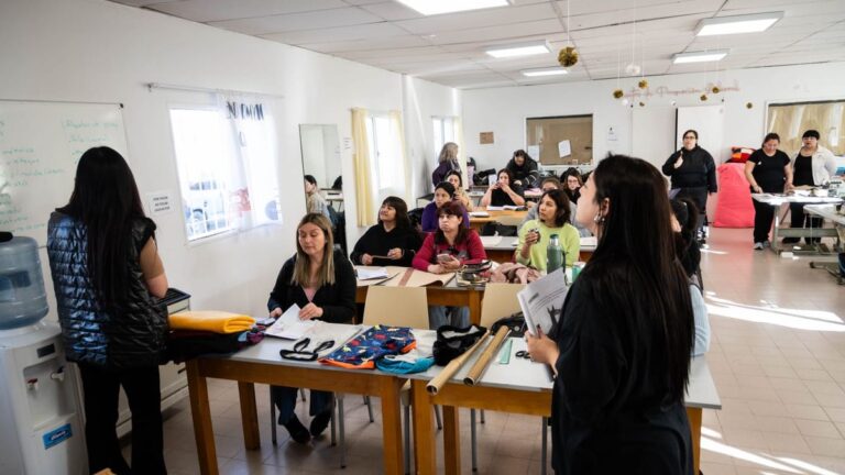 Confeccionan ropa para los perros callejeros