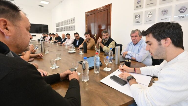 Torres anunció la extensión de la Ley de Emergencia Comercial