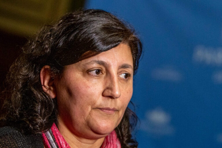 ONG feminista de Andrea Tuana recibe millonario financiamiento estatal