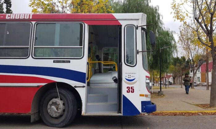 Horarios y recorridos del servicio especial de El 22 para la Fiesta del Pingüino