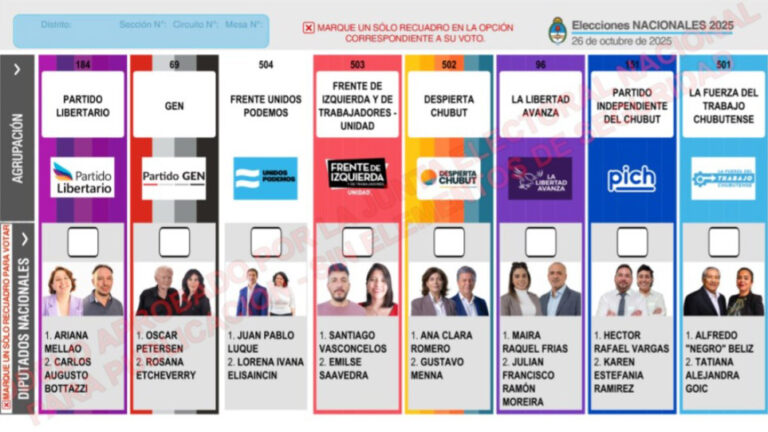 Cómo será la boleta única papel en Chubut