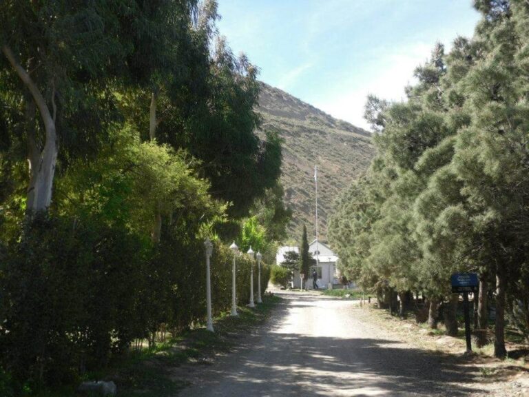 Camping en Comodoro: precios, servicios y opciones habilitadas para disfrutar la temporada al aire libre