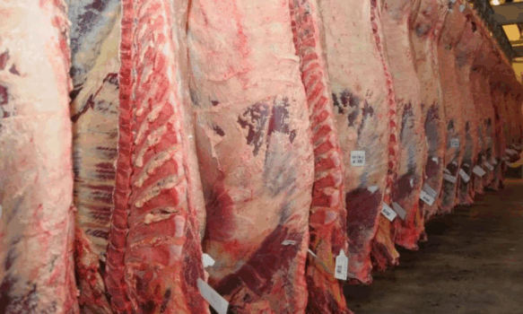 Tras el rechazo de la Justicia de Comodoro, ruralistaspiden aSenasasuspender por dos años elingresode la carne del norte