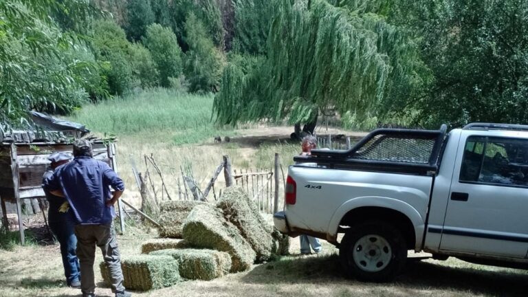 Asistencia a productores afectados por los incendios en la cordillera