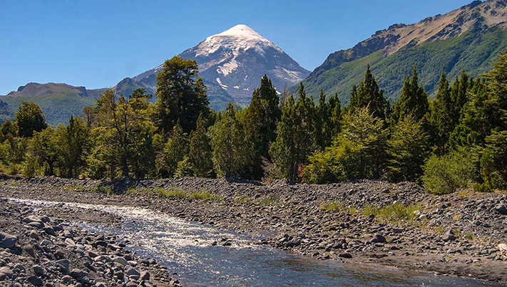 El Gobierno lanza una plataforma para optimizar la producción forestal