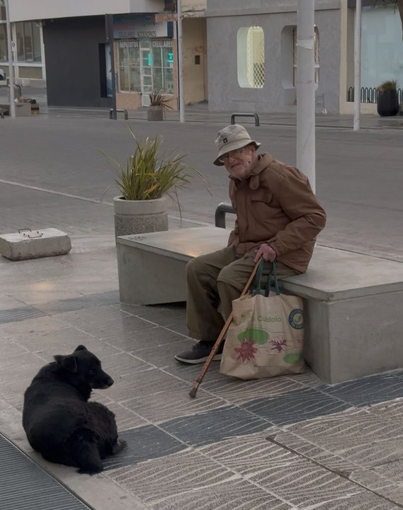 Horacio y Negro, la postal diaria de Comodoro que enternece a todos